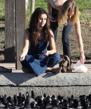 selenagomez-daily_289529.jpg